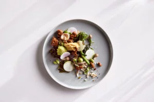A white plate with different hydrogen powered foods on a white background